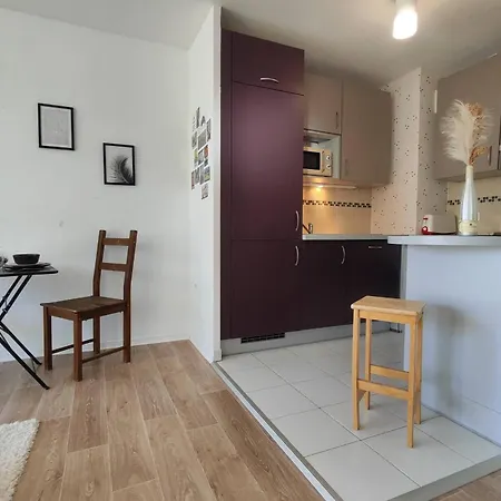Le Salluste Cosy T2 With Balcony In Appartement Straatsburg