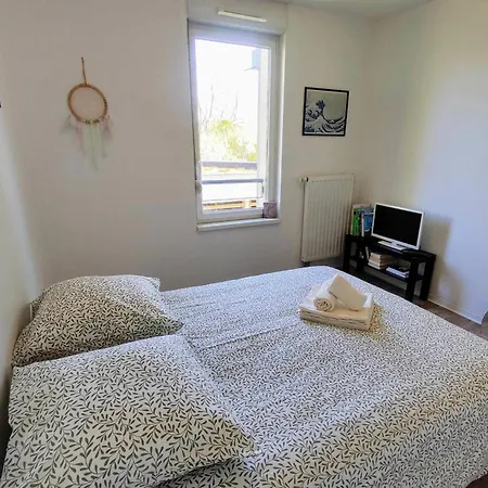 Le Salluste Cosy T2 With Balcony In Appartement