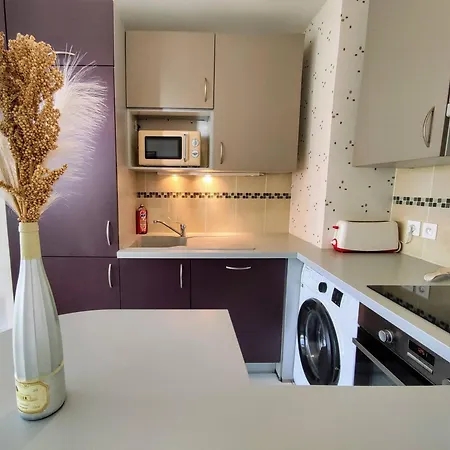 Le Salluste Cosy T2 With Balcony In Straatsburg