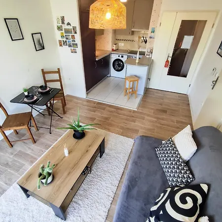 Le Salluste Cosy T2 With Balcony In Strasburgo