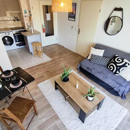 Le Salluste Cosy T2 With Balcony In Appartement