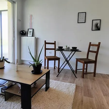 Le Salluste Cosy T2 With Balcony In Appartement