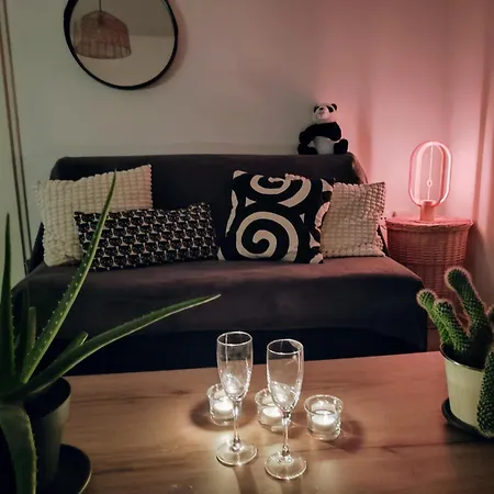 Daire Le Salluste T2 Cosy With Balcony In Strazburg