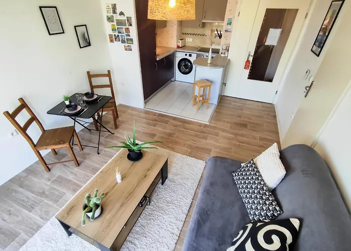 Le Salluste Cosy T2 With Balcony In Страсбург