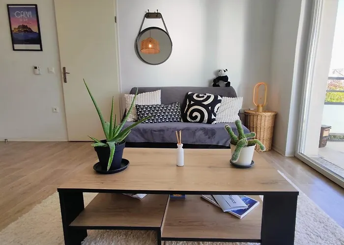 Le Salluste Cosy T2 With Balcony In * Strasburg